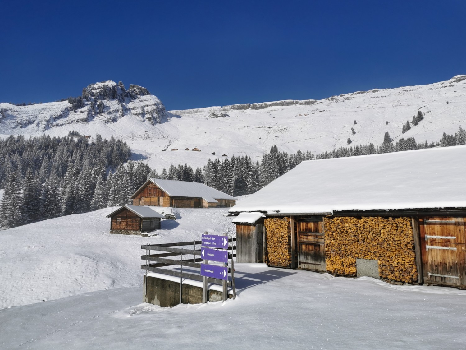 Le lieu-dit Holzmattenläger.