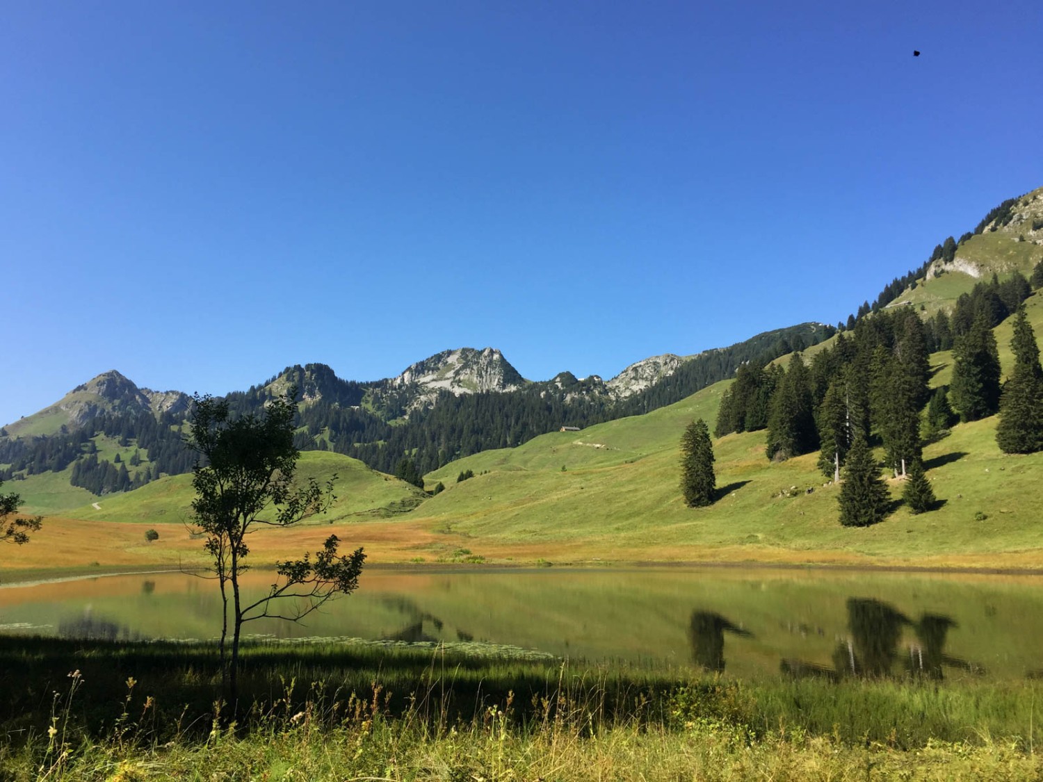 Sur la rive droite s’amorce la montée. Photo: Vera In-Albon