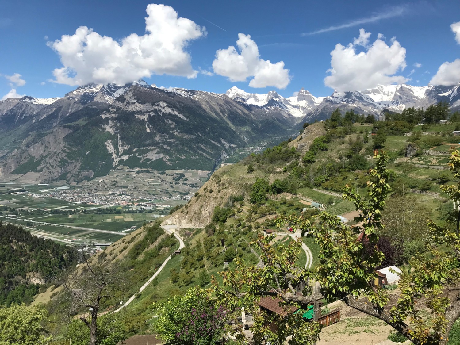 Blick ins Rhonetal mit dem Dorf Saillon. Bild: Ulrike Marx