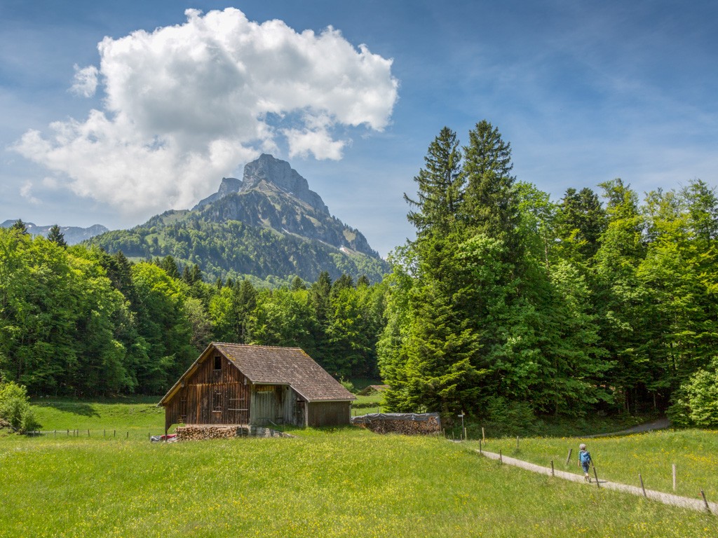 Auch wenn es sich um einen Bergwanderweg handelt, ist er angenehm zu gehen. Bilder: Severin Nowacki