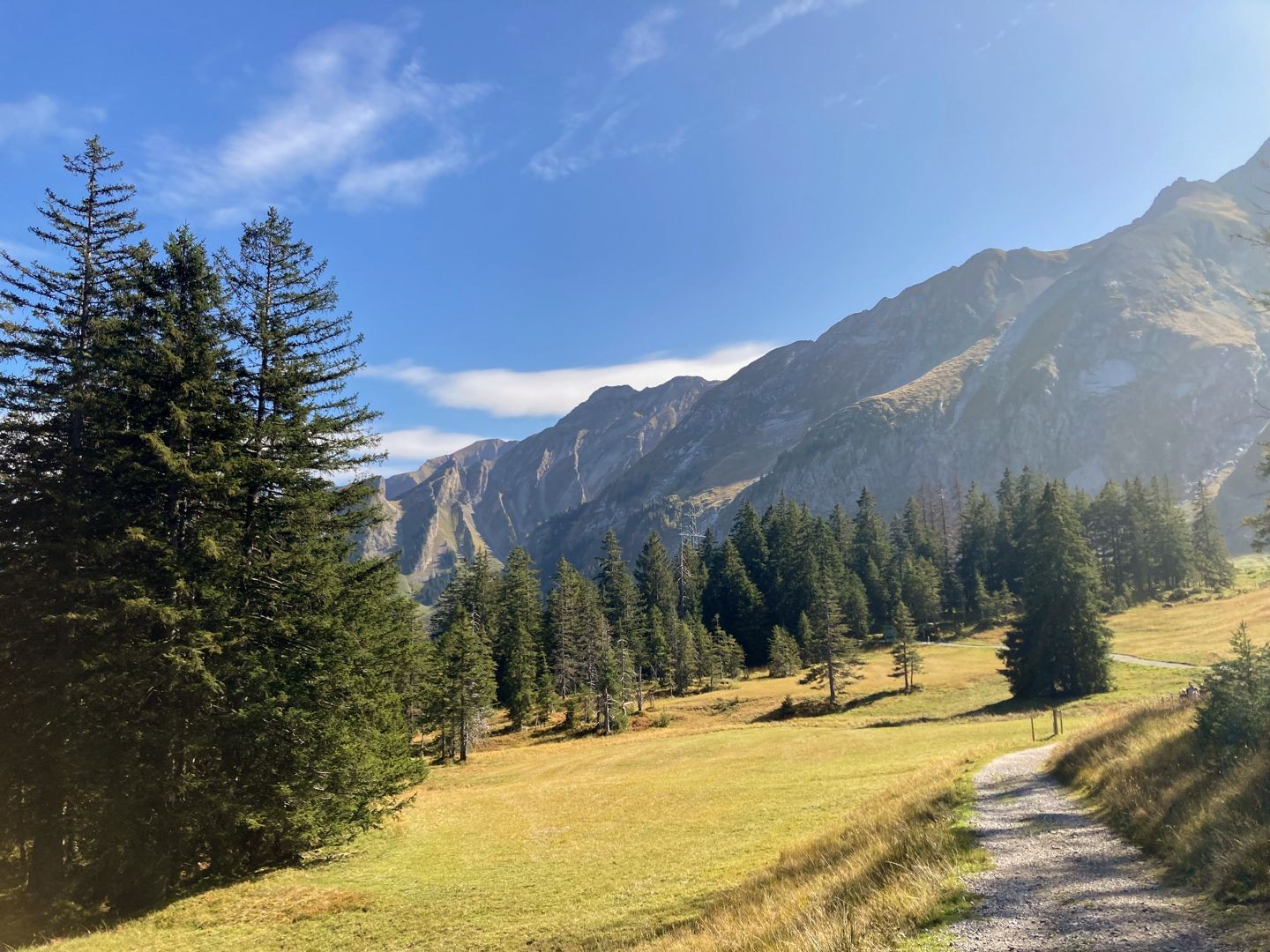 Auf dem Moorrundgang bei der Rossweid.