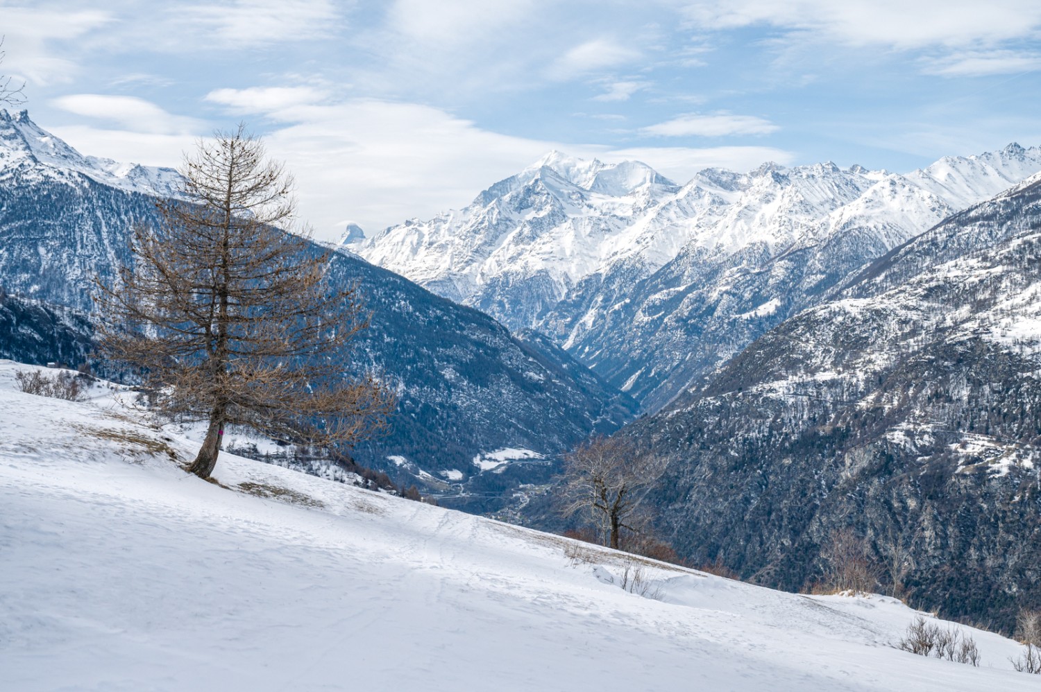 Der letzte Teil der Tour mit Aussicht auf die verschneiten Gipfel. Bild: Jon Guler