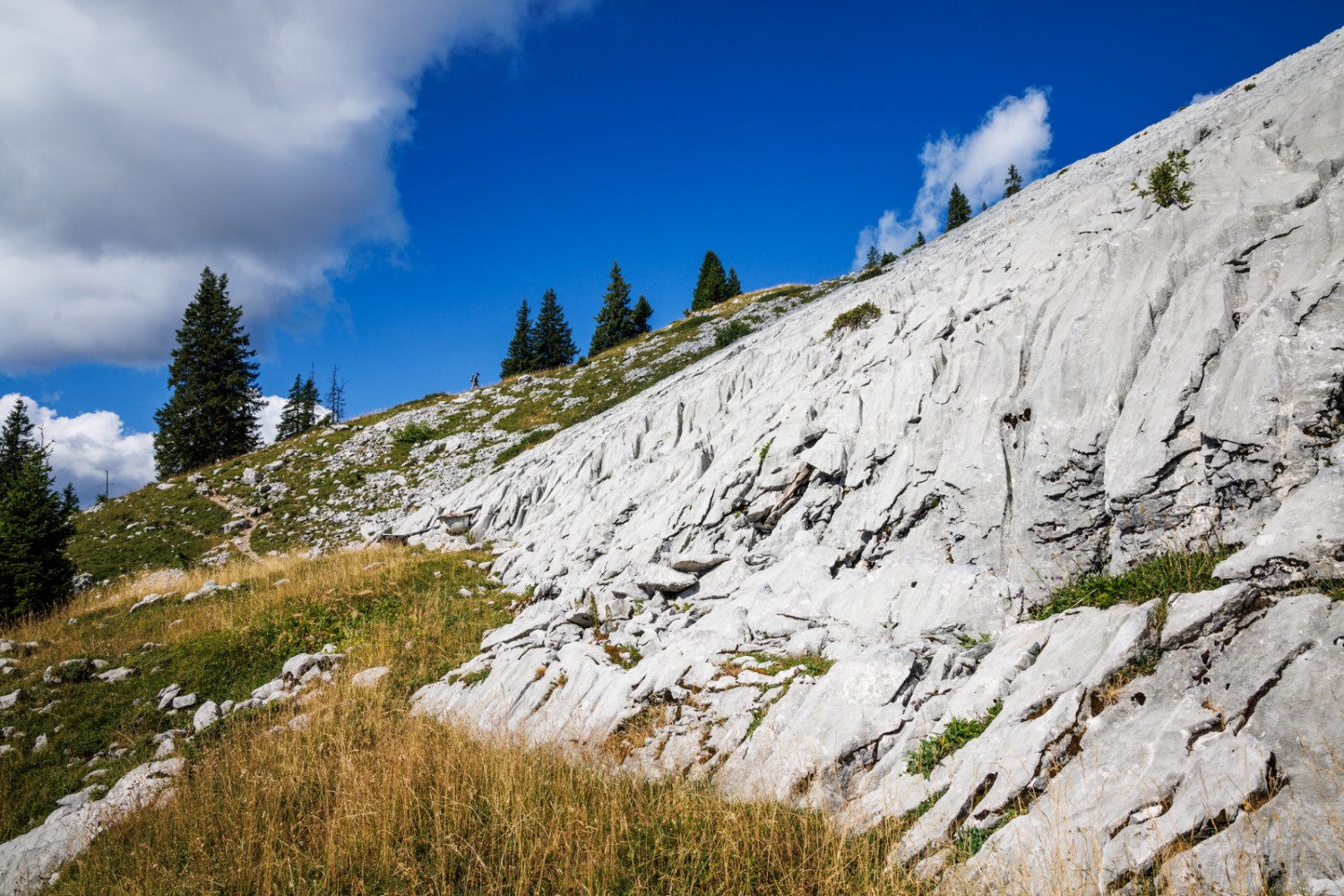 On raconte que le diable aurait ici arraché les pâturages du versant. Photo: Severin Nowacki