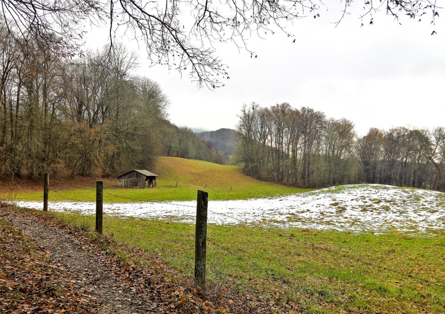 Doch die Route bietet auch Abschnitte auf Wiesen... Bild: Andreas Staeger