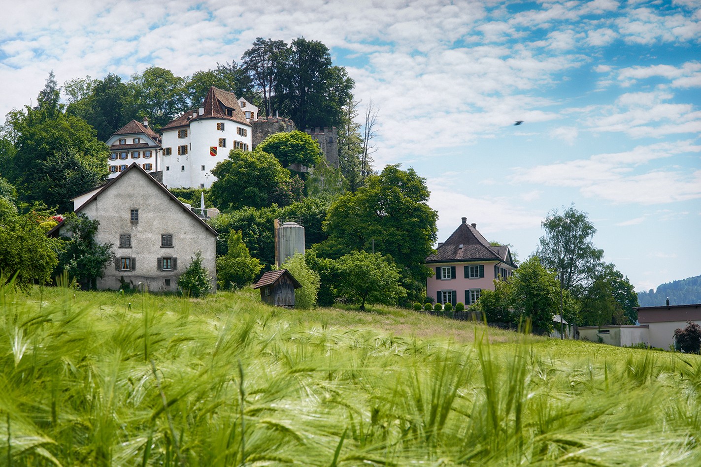 Poco dopo l’inizio dell’escursione: il Trostburg con lo stemma bernese sulla torre bianca. Foto: Mia Hofmann