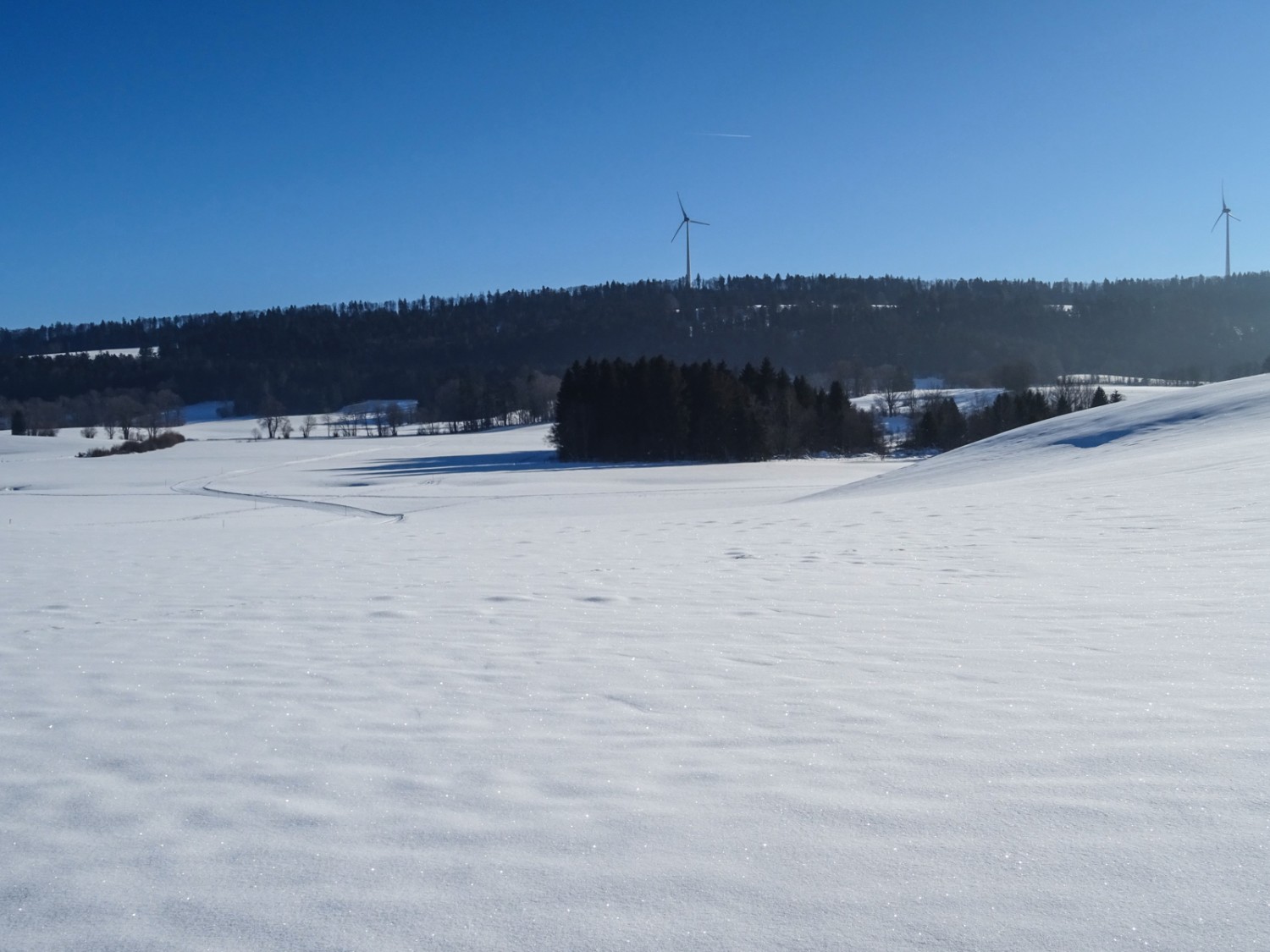 Avant d’atteindre Le Noirmont, le chemin de randonnée hivernale mène à travers de vastes plateaux. Photo: Sabine Joss