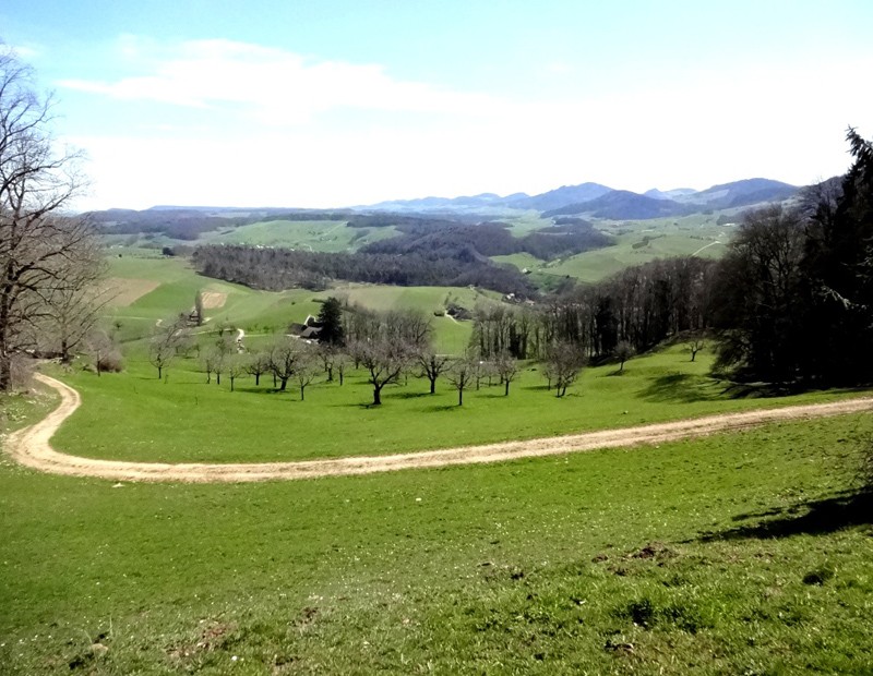 In der Hälft der Wanderung: Blick vom Gugger nach Osten.