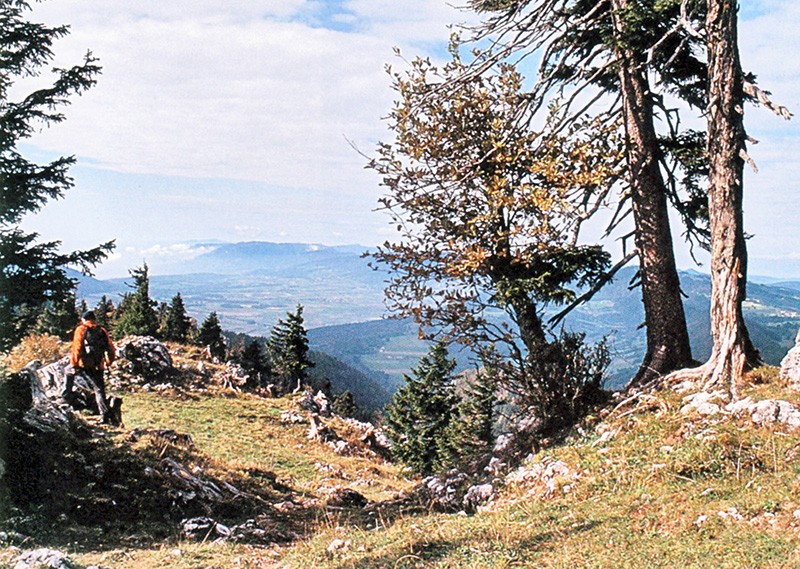 Auf dem Grat vom Chasseral auf den Chaumont. Bild: Franz Auf der Maur