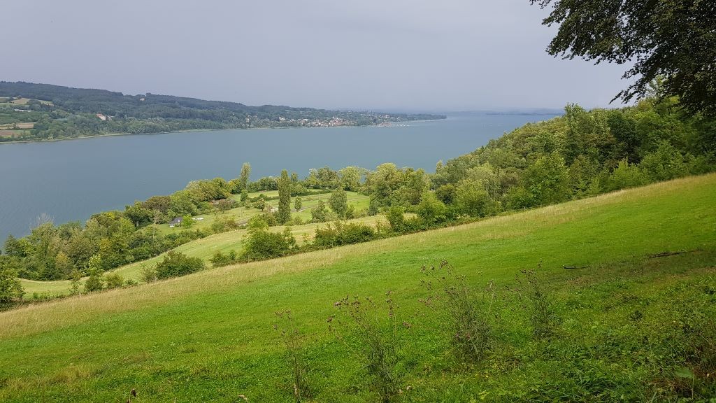 Blick auf den Untersee