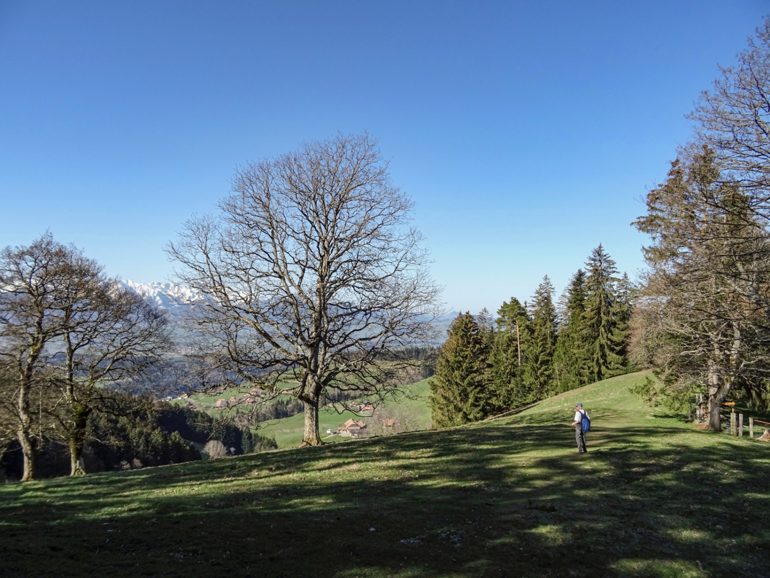 Au-dessus d’Aeschlenalp. Photo: Sabine Joss