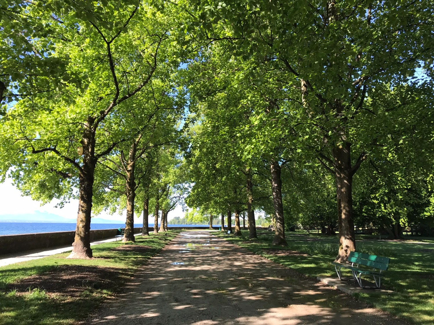 Leuchtendes Grün über einem, sattes Blau neben einem – die Uferpromenade in Morges