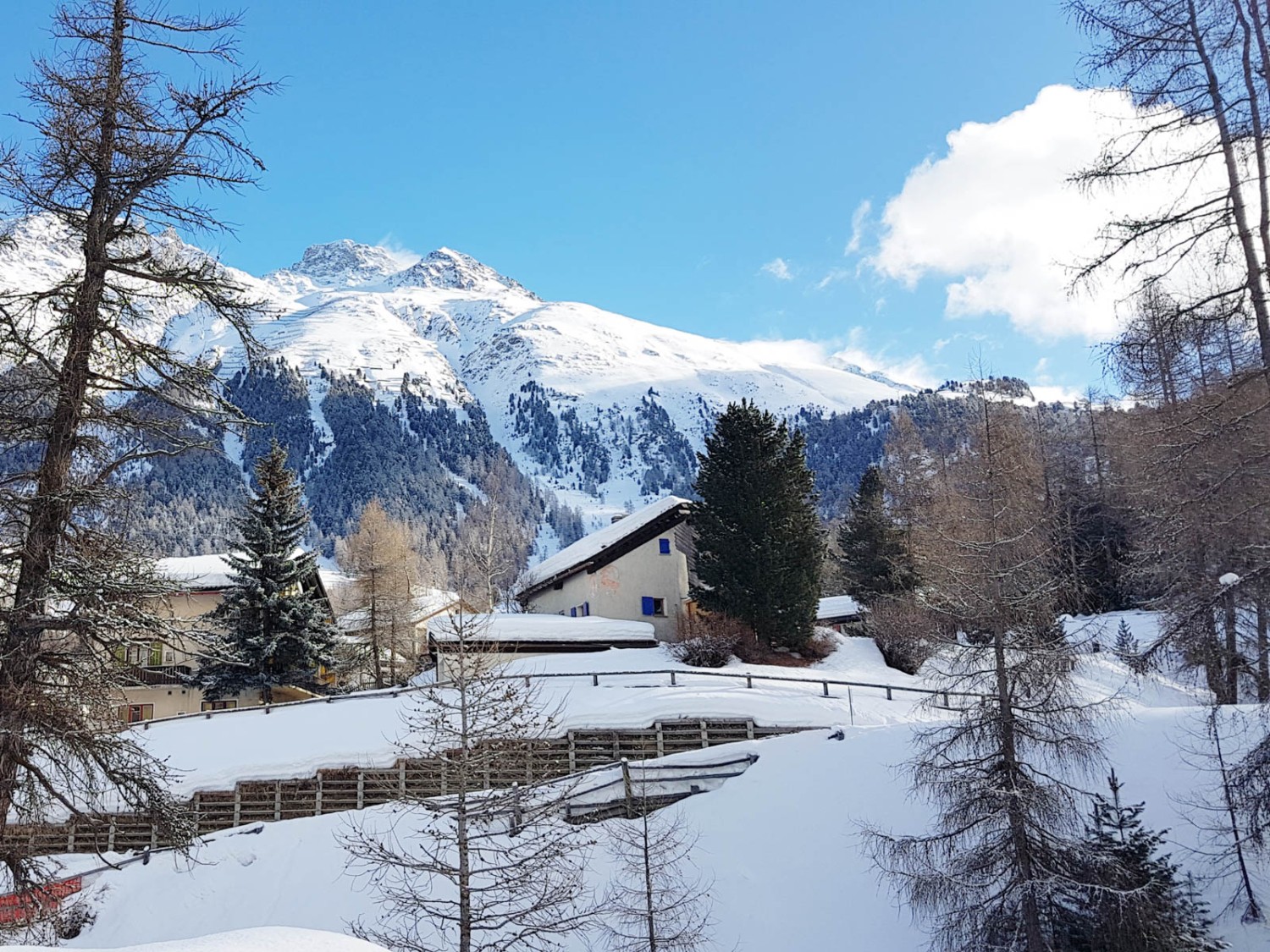 Cette randonnée est particulièrement belle lorsqu’il vient de neiger. Photo: Laura Riedi