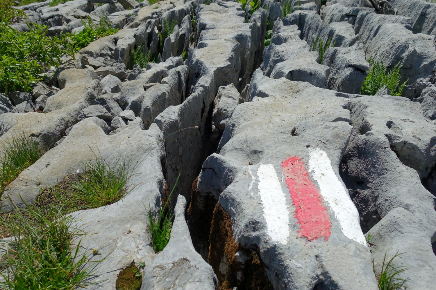 Le chemin traverse la zone karstique. Photo: Christiana Sutter 