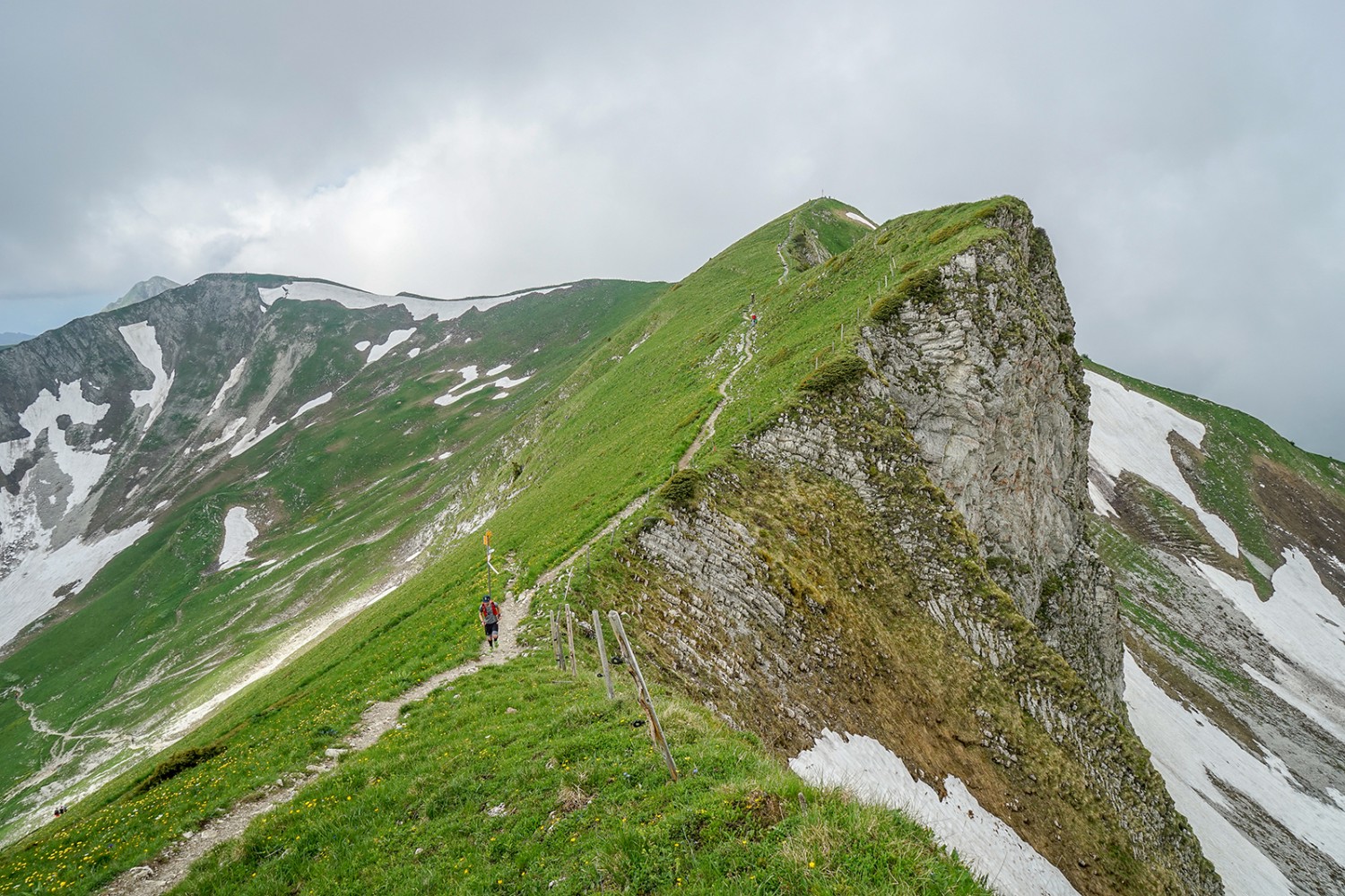 Coup d’œil en arrière sur la crête du Moléson. Au printemps, de longues traînées de neige recouvrent encore les zones ombragées. Photos: Fredy Joss