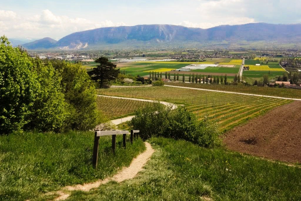 Blick auf den Salève vom Signal de Bernex. Alle Fotos: Miroslaw Halaba