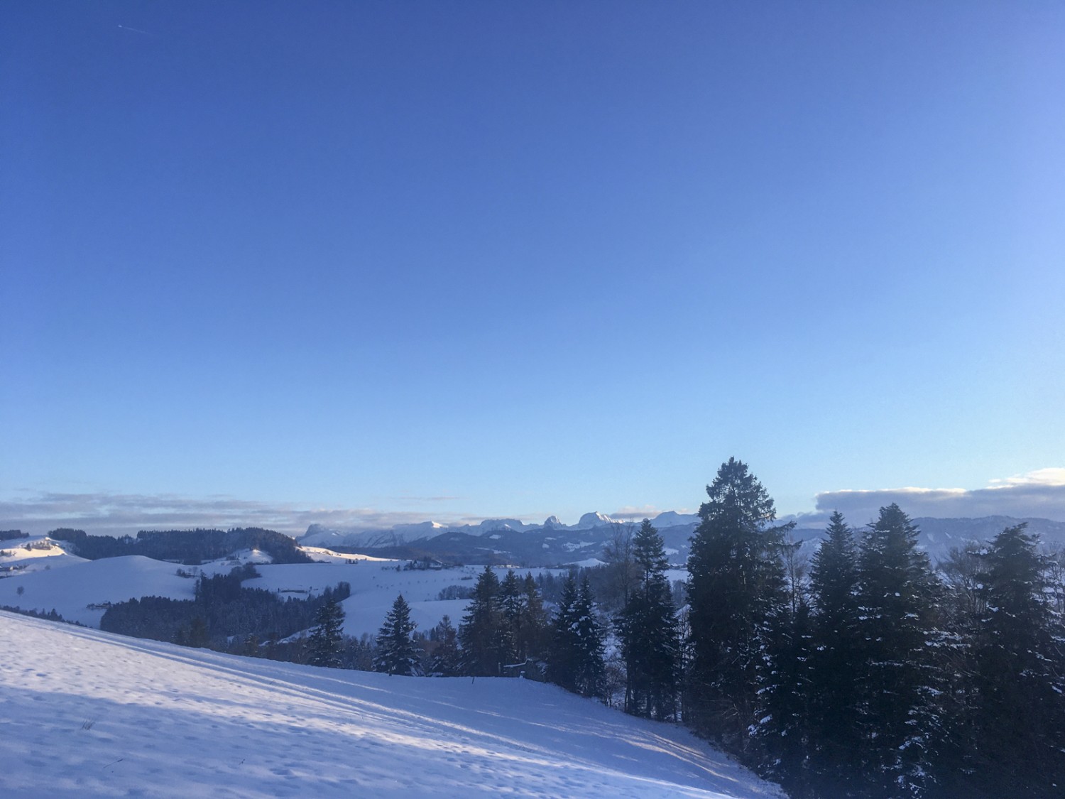 Vue sur le Gantrisch depuis Borisried. Photo: Jürg Steiner