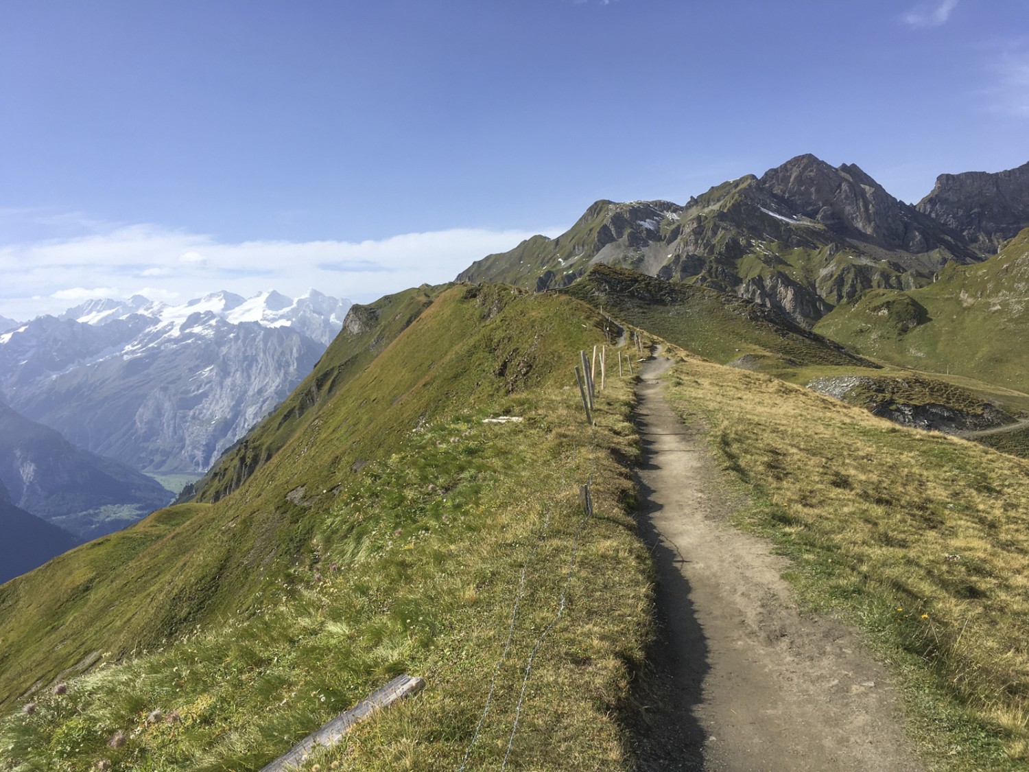 Le grand moment de la randonnée: sur la crête avant le Balmeregghoren. Photo: Jürg Steiner
