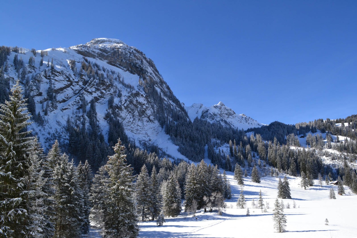 Sur la rive sud du lac de Lauenen.