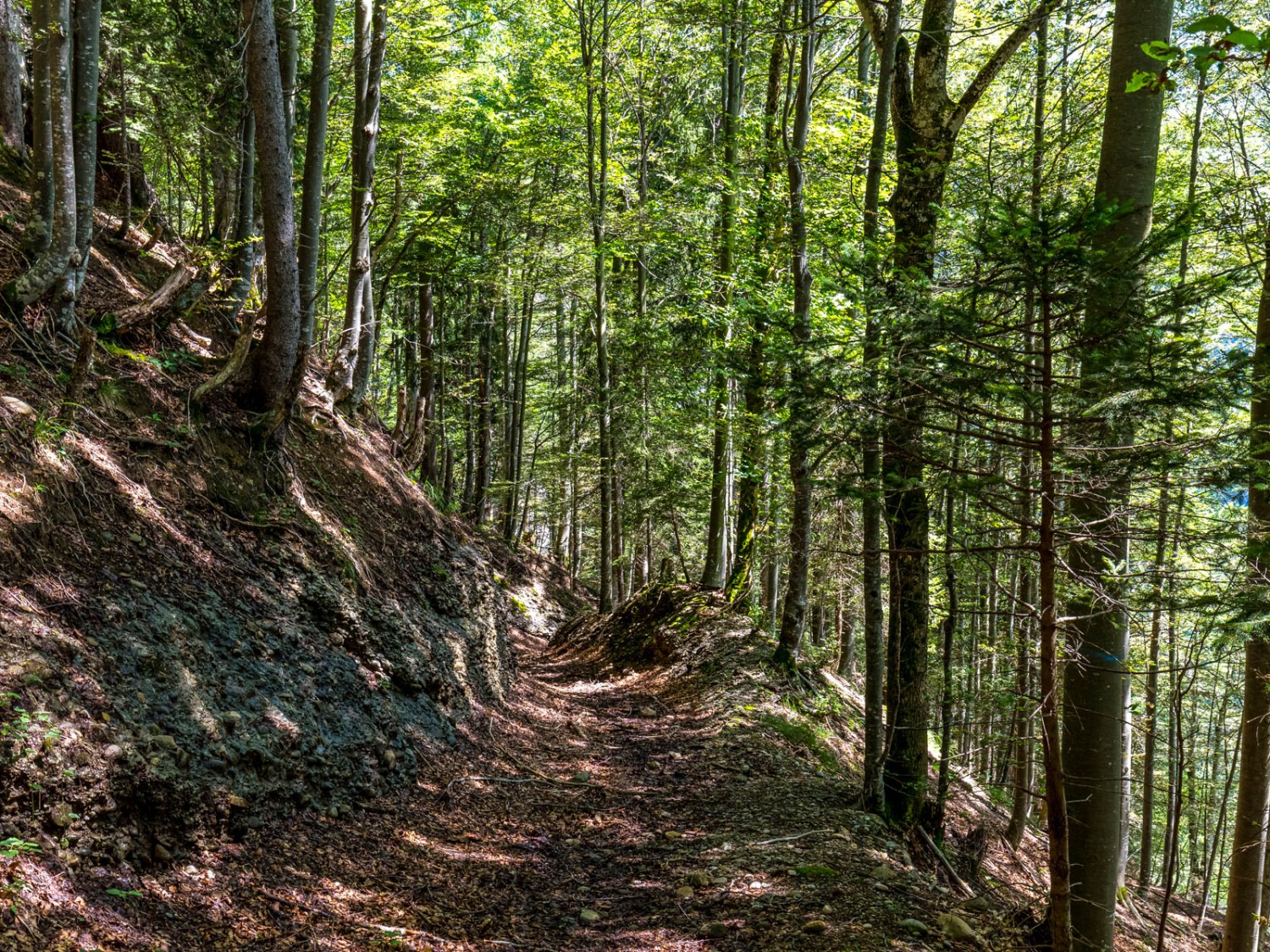 Im Rappenloch zwischen Seebensäge und Ellbogen. Bild: Daniel Fleuti