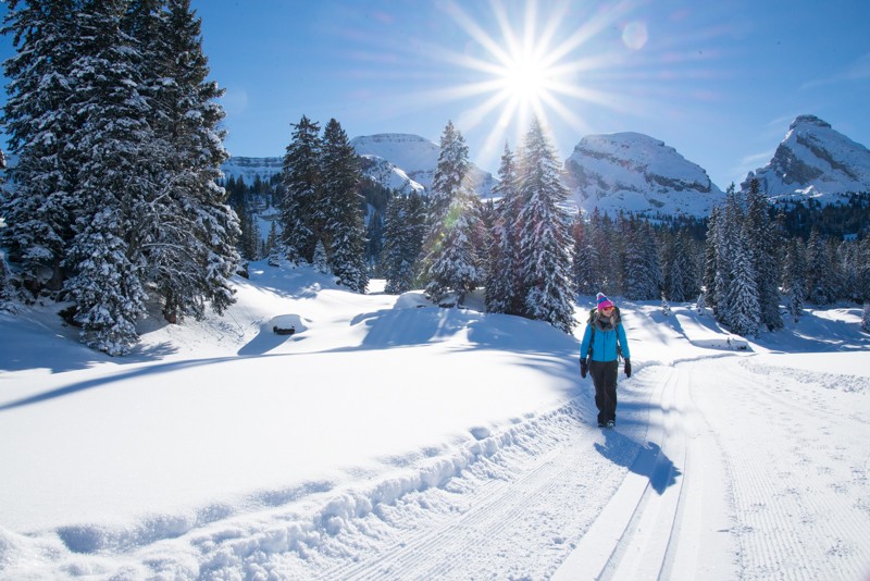 Frisch verschneit ist dieser Winterwanderweg ein purer Genuss.