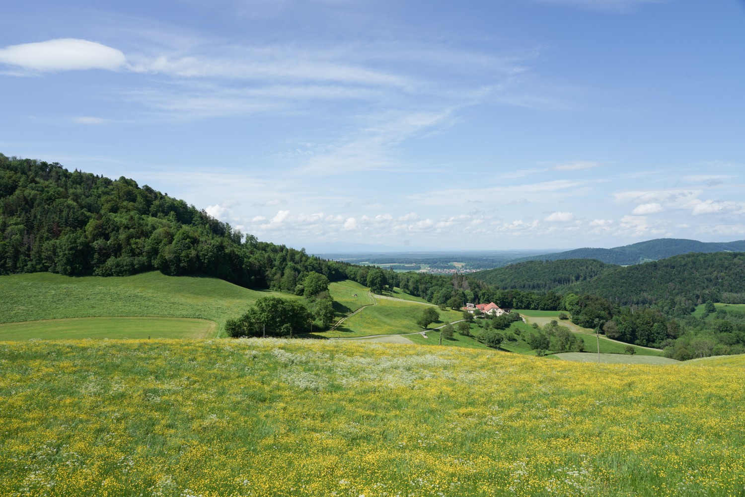 Vue sur l'Ajoie vers le nord, à gauche le Mont Terri. Photo: Reto Wissmann