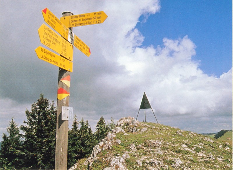 Der Mont Racine, ein perfekter Rastgipfel mit Sicht bis nach Frankreich und Deutschland an klaren Tagen. Bild: Sabine Joss