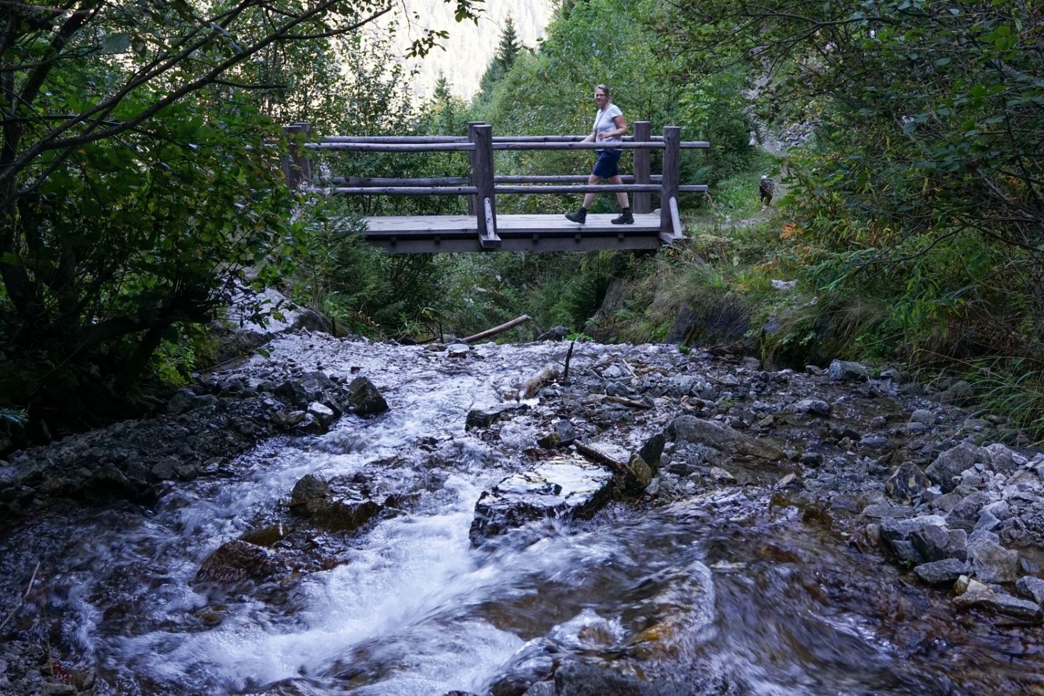 Auch schattige Partien hat es: Brücke über den Milebach.