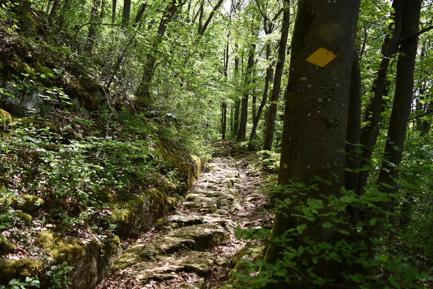 Autrefois, le chemin était taillé directement dans la roche, un travail de longue haleine. 