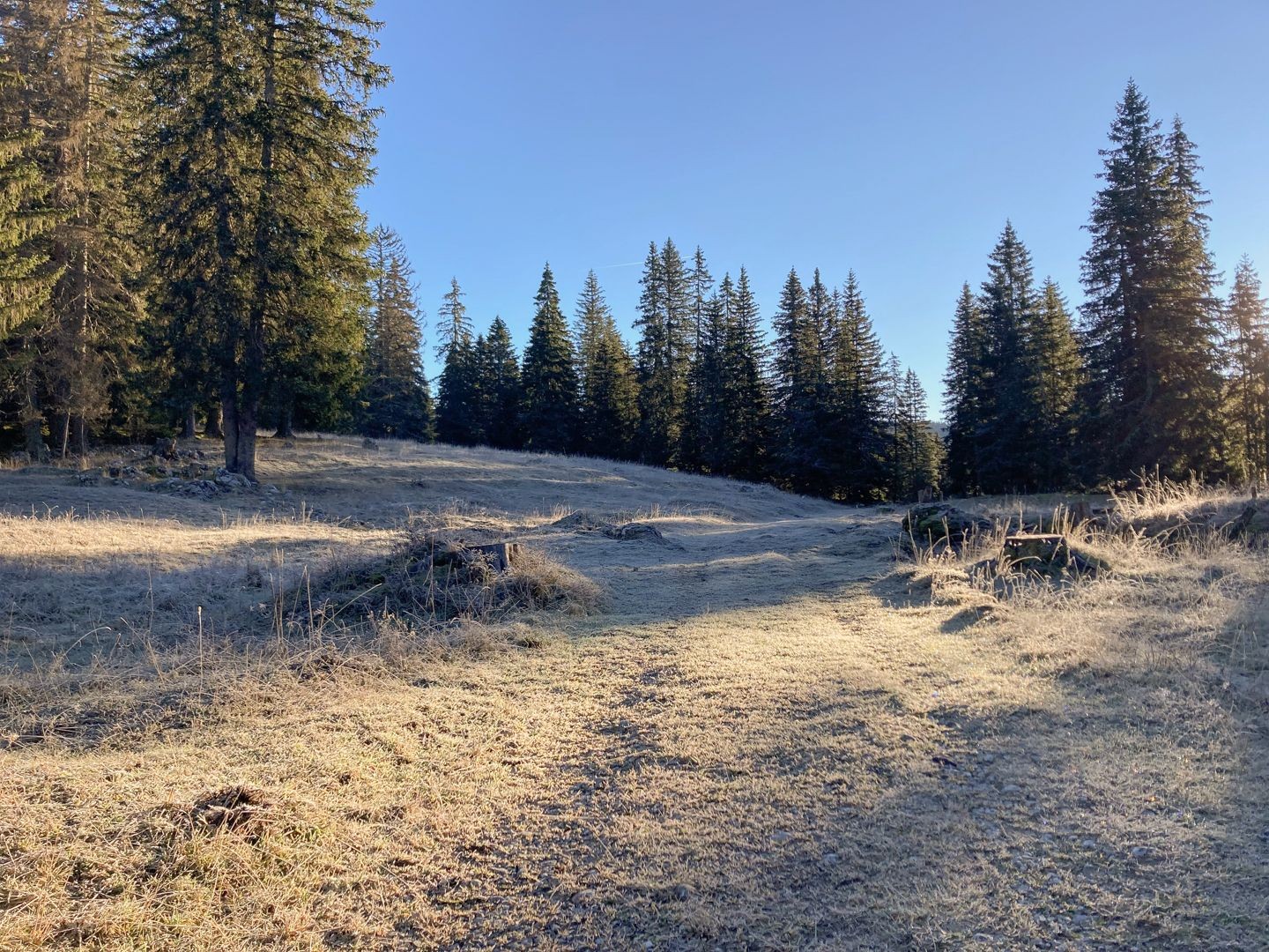 Juralandschaft beim Aufstieg zum Mont Tendre.