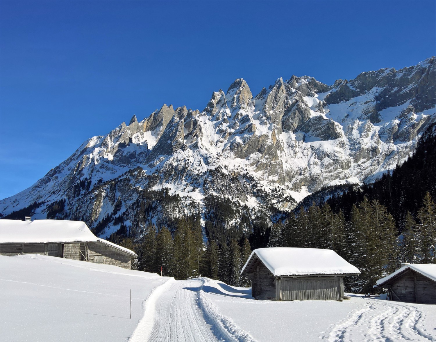 Large au début, le chemin de randonnée hivernale se resserre peu à peu. Photo: Andreas Staeger