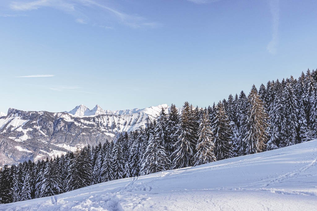 Le panorama exceptionnel de la Gruyère et des Préalpes fribourgeoises environnantes . Photo: Lauriane Clément