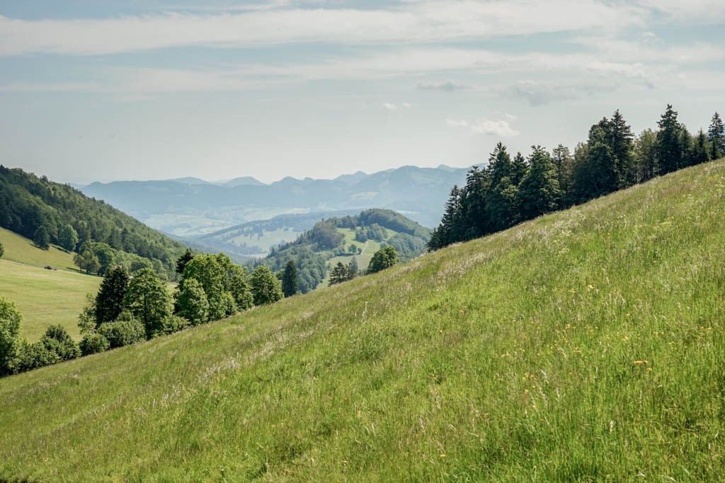 Vue de La Combe sur le Val Terbi. Photo: Fredy Joss