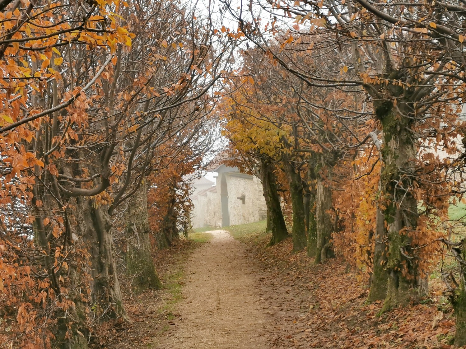 Hohlweg unterhalb Burg Kastelen