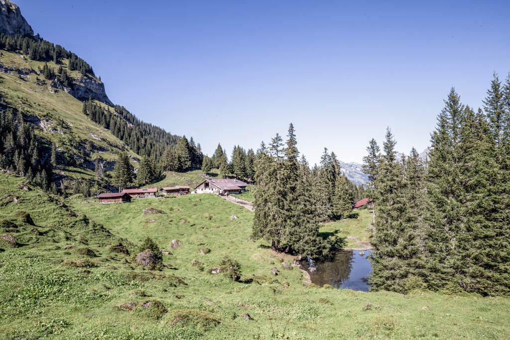 Letzte Alp für heute: Sousläger. Auch sie mit Käseverkauf. Bild: Daniel Fleuti