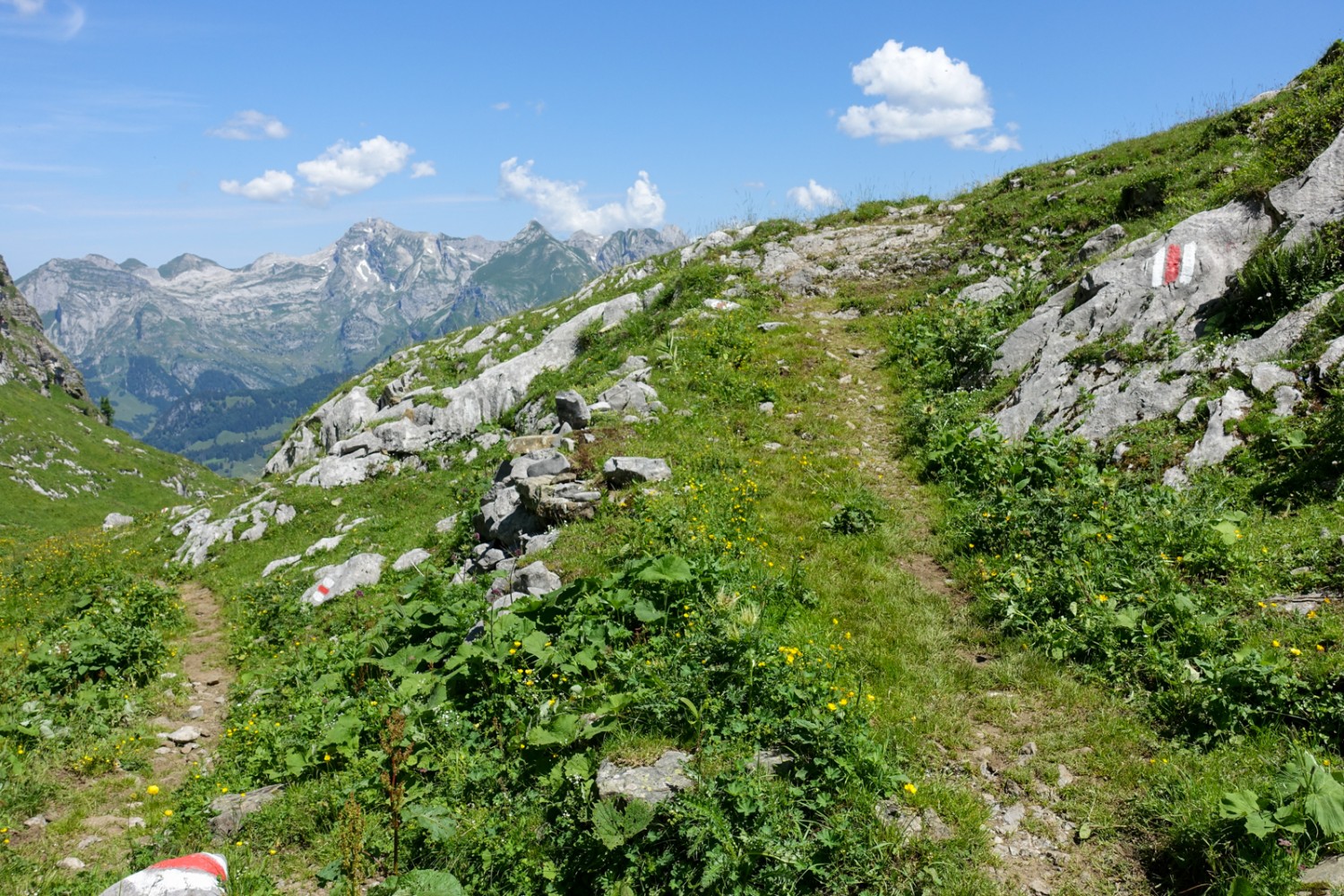 Le regard est attiré par le Säntis et le Schafberg. Photo: Christiana Sutter 