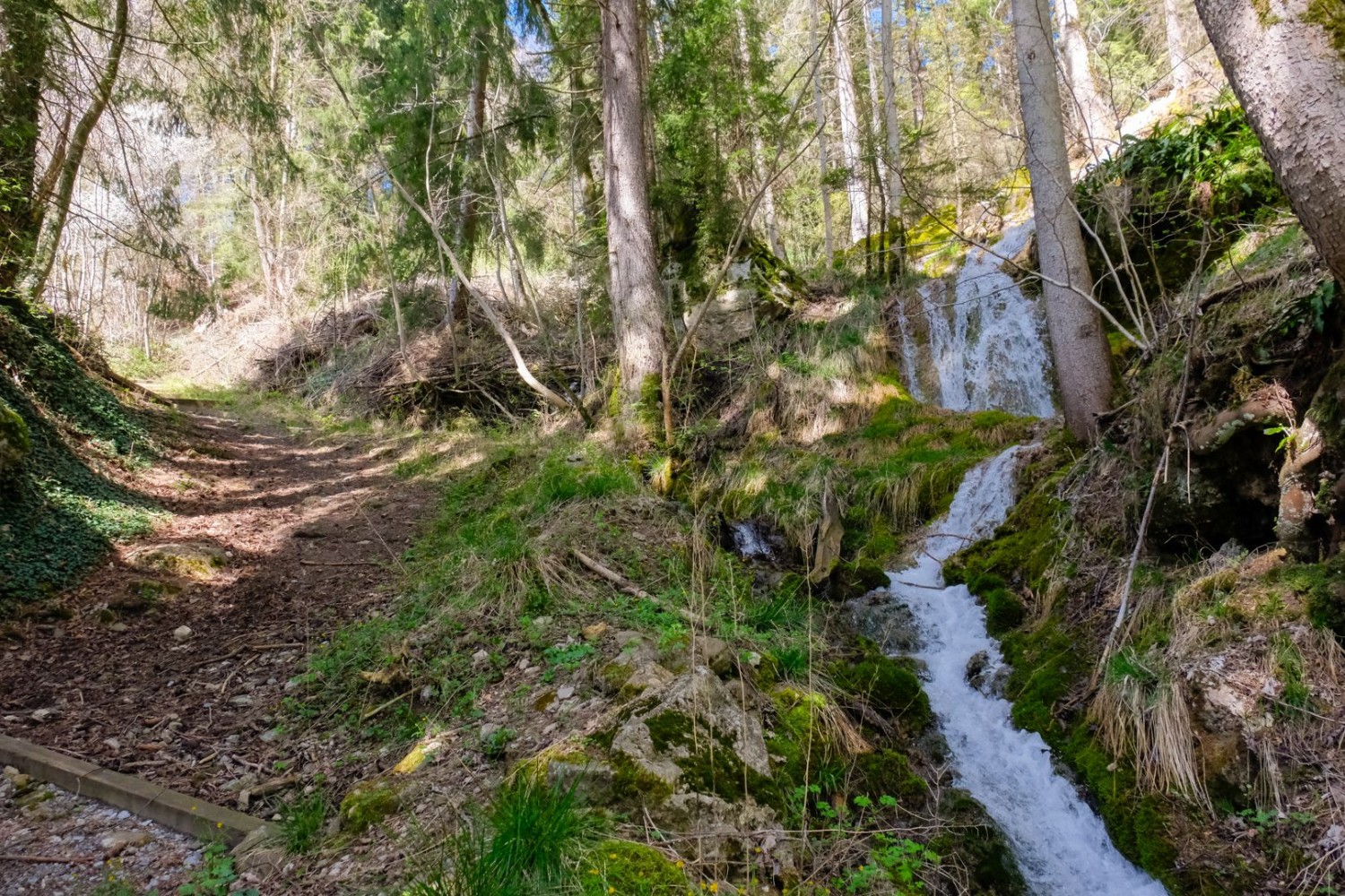 Kurz nach Därstetten fliesst zur Rechten des Wanderwegs ein sprudelnder Bach über Moostreppen.