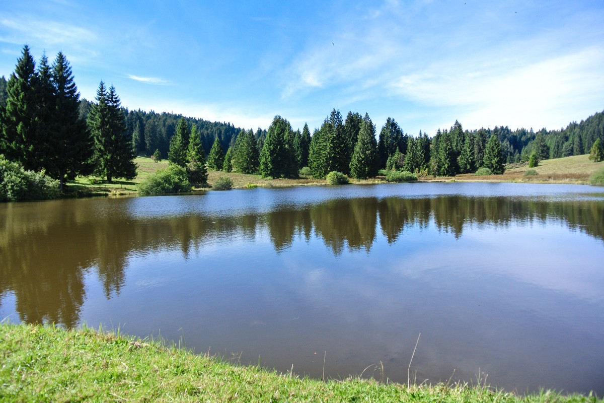 Der Etang de Plain de Saigne befindet sich in einem Naturschutzgebiet. Foto: Thomas Gloor