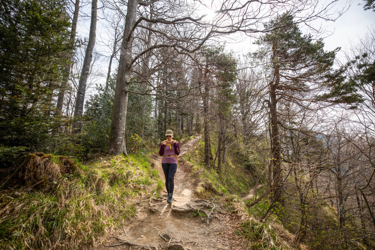 La descente vers Gfell passe par un étroit chemin sillonné de racines. Photo: Wanderblondies