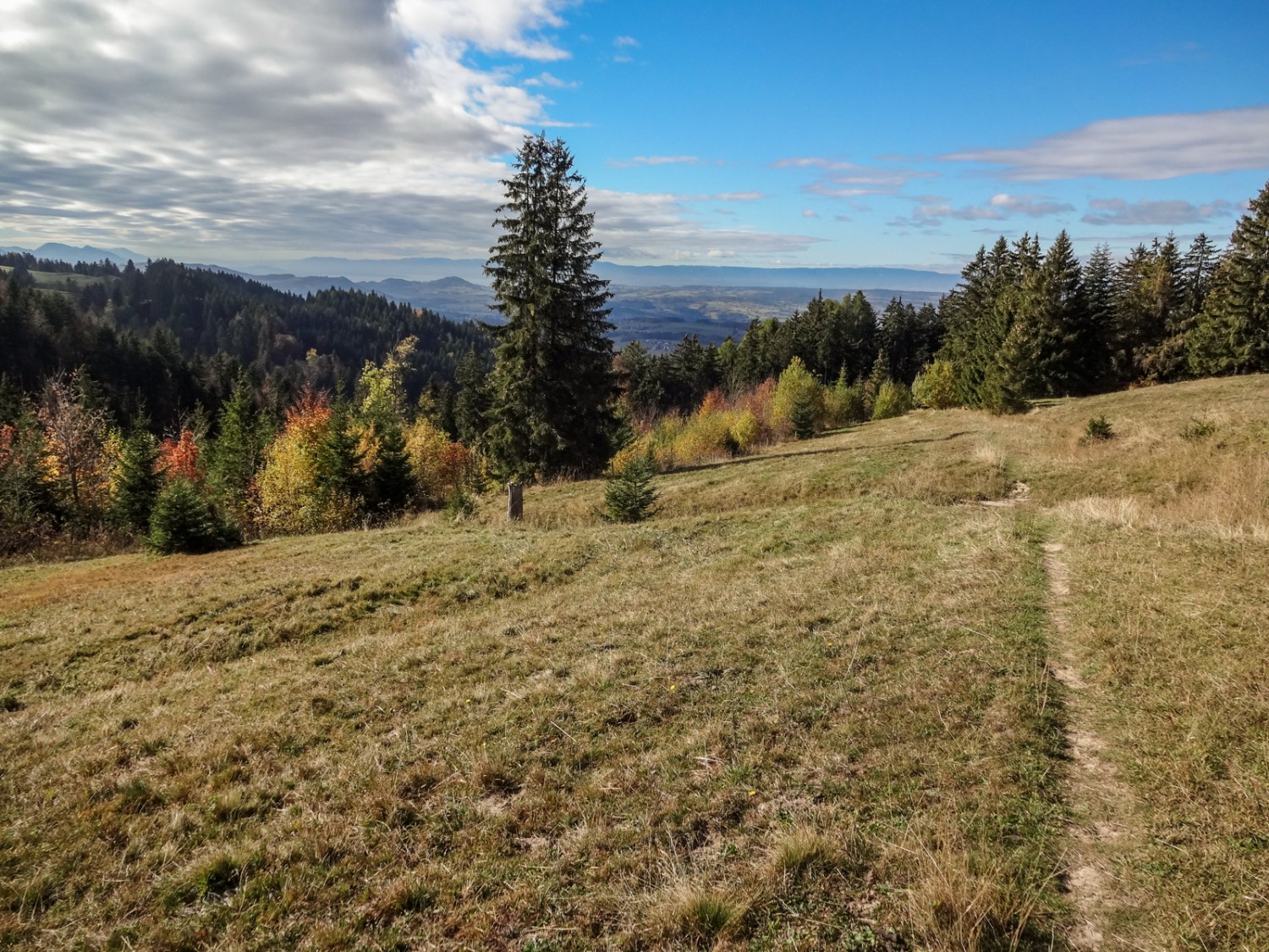 Beginn des Abstiegs nach Semsales. Bild: Miroslaw Halaba