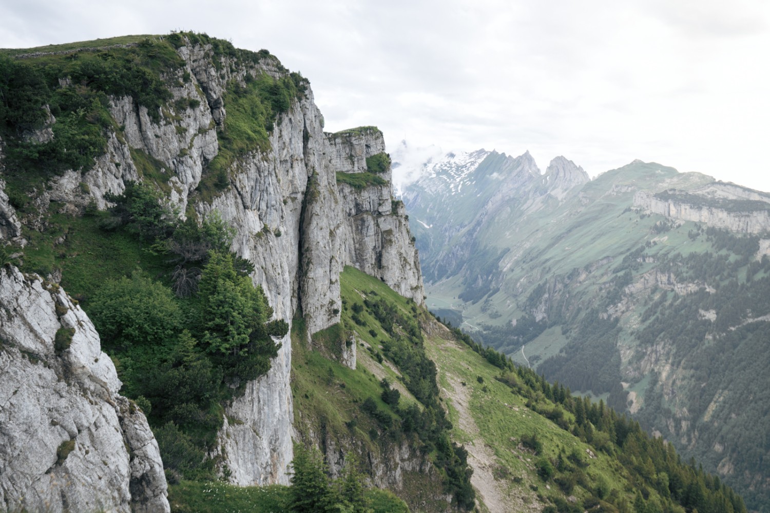 Aussicht beim Aufstieg zum Zahme Gocht in Richtung Säntis. Bild: Jon Guler