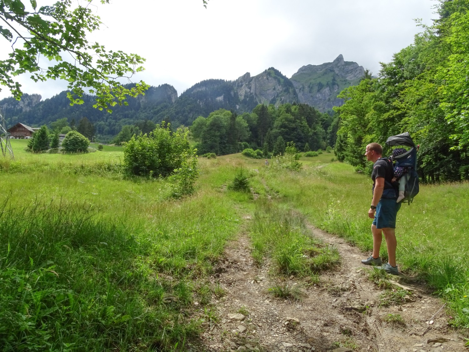 Poco dopo Schwandi; sullo sfondo il massiccio del Pilatus. Foto: Daniela Rommel