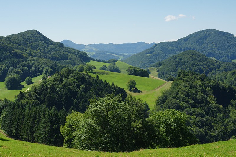 Wer Geologie erleben möchte, kommt bei dieser Wanderung im Baselbieter Jura auf seine Kosten.