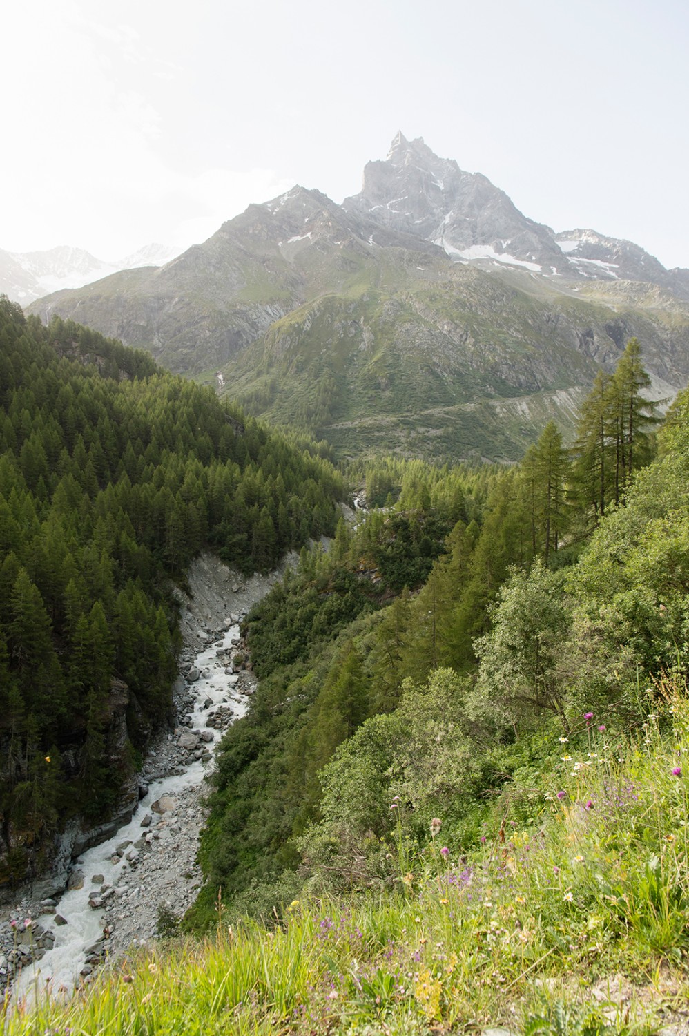 De l’eau glacée, une végétation luxuriante et des sommets imposants égaient la montée vers le Petit Mountet.