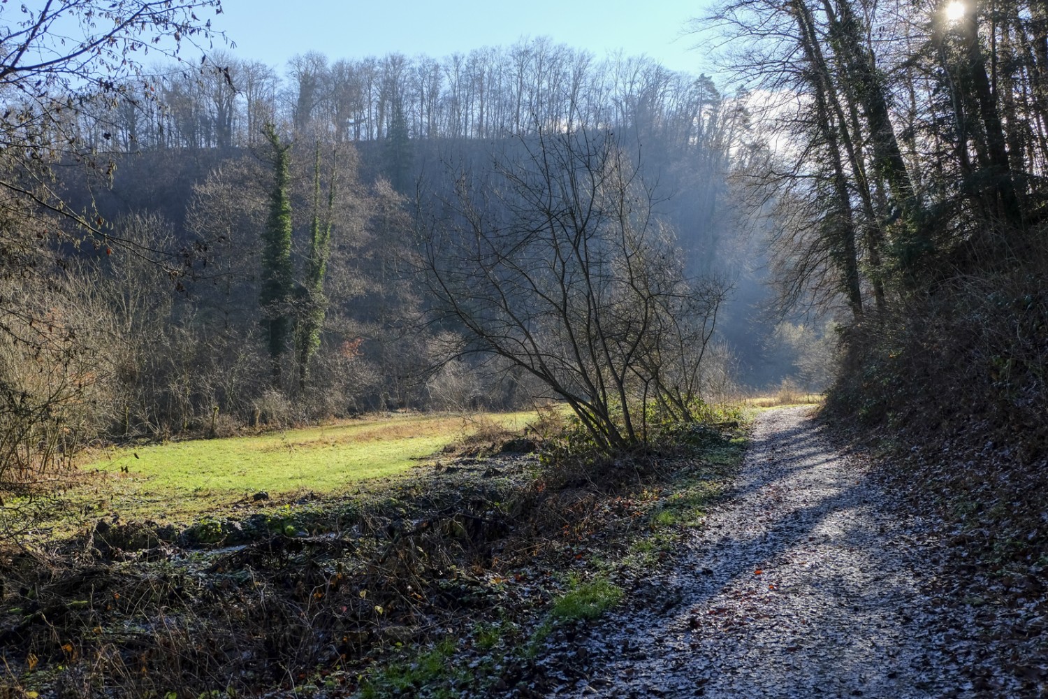 Im Naturschutzgebiet Tal. Bild: Elsbeth Flüeler