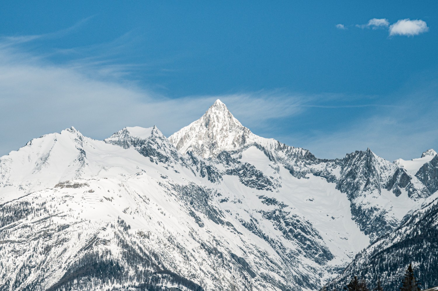 Das Bietschhorn ganz in Weiss. Bild: Jon Guler