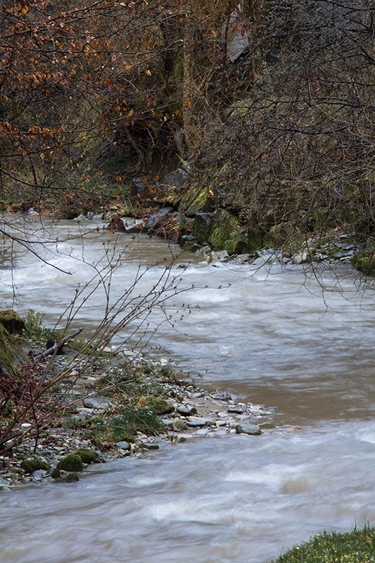 Die Galterenschlucht: Dank Wegen und Stegen ist sie durchgängig begehbar. Foto: www.fribourgregion.ch