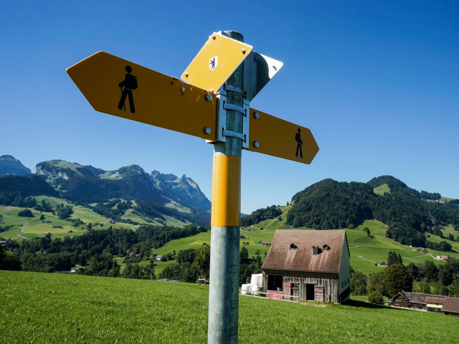 Wegweiser in der Nähe von Steinau zeigen die Richtung über das Weideland. Foto: Fredy Joss