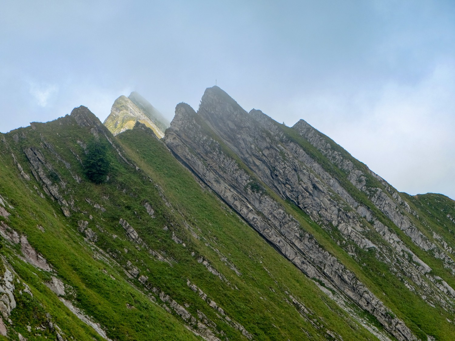 Les Préalpes fribourgeoises et leurs dents acérées. Pour randonner sur cette crête, mieux vaut avoir le pied sûr et ne pas avoir le vertige. Photo: Elsbeth Flüeler