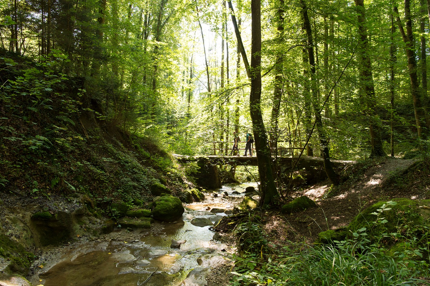 Par des sentiers tortueux et des ponts dans la gorge du Dorfbach.