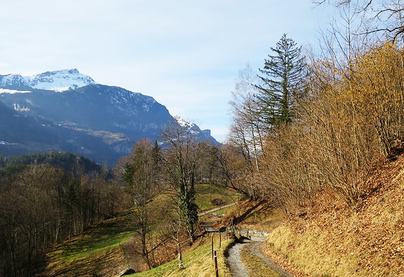 Près de Wylerli, le regard survole la vallée jusqu’au versant sombre du Turen devant le Tschingel enneigé.
Photo: Andreas Staeger